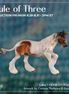 Laika OOAK EFCM Irish Cob by Jess Hamill & Carissa Mathews Ro326