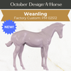 Design-A-Horse Stone Weanling PM02512 - October release 2025