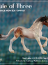 Mini Lakia LE-5 EFCM Chip Friesian by Jess Hamill & Carissa Mathews Ro326