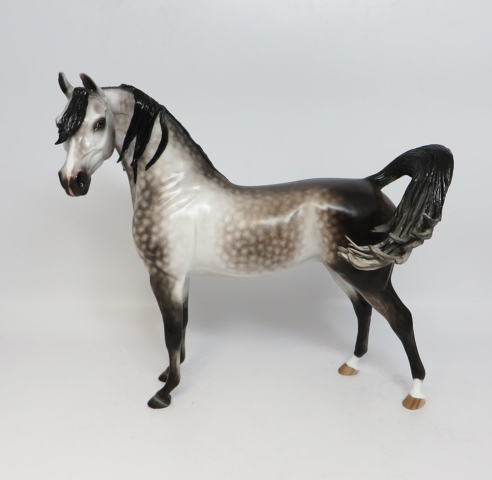 WORLD OF WONDER-OOAK STAR DAPPLE ROSE GREY ARABIAN MODEL HORSE BY SHERYL LEISURE 12-19-17