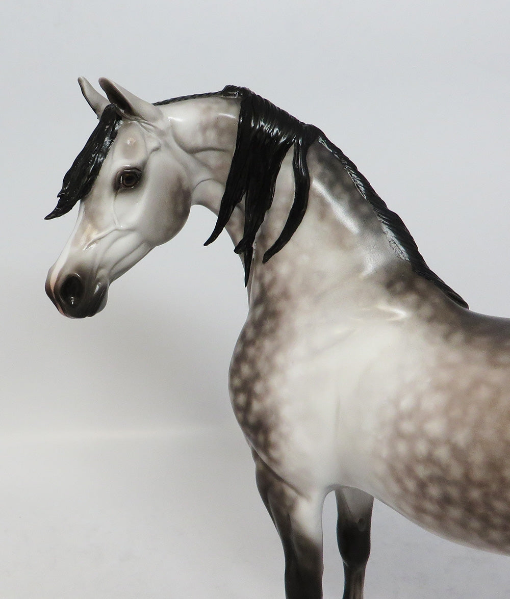 WORLD OF WONDER-OOAK STAR DAPPLE ROSE GREY ARABIAN MODEL HORSE BY SHERYL LEISURE 12-19-17