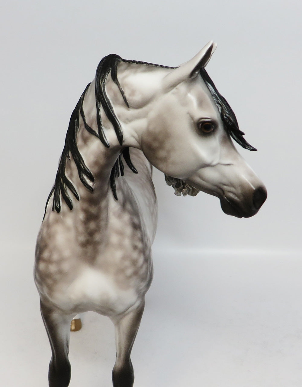 WORLD OF WONDER-OOAK STAR DAPPLE ROSE GREY ARABIAN MODEL HORSE BY SHERYL LEISURE 12-19-17