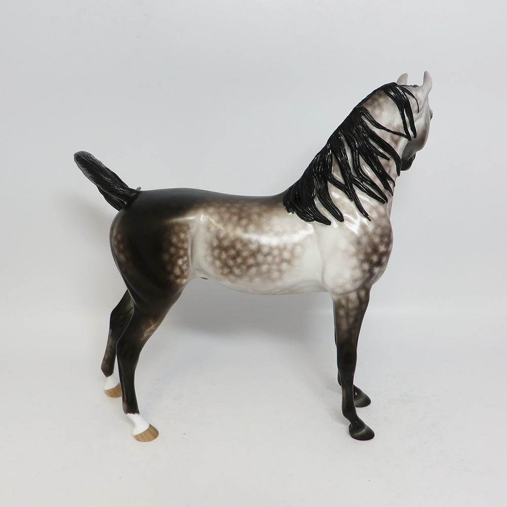 WORLD OF WONDER-OOAK STAR DAPPLE ROSE GREY ARABIAN MODEL HORSE BY SHERYL LEISURE 12-19-17