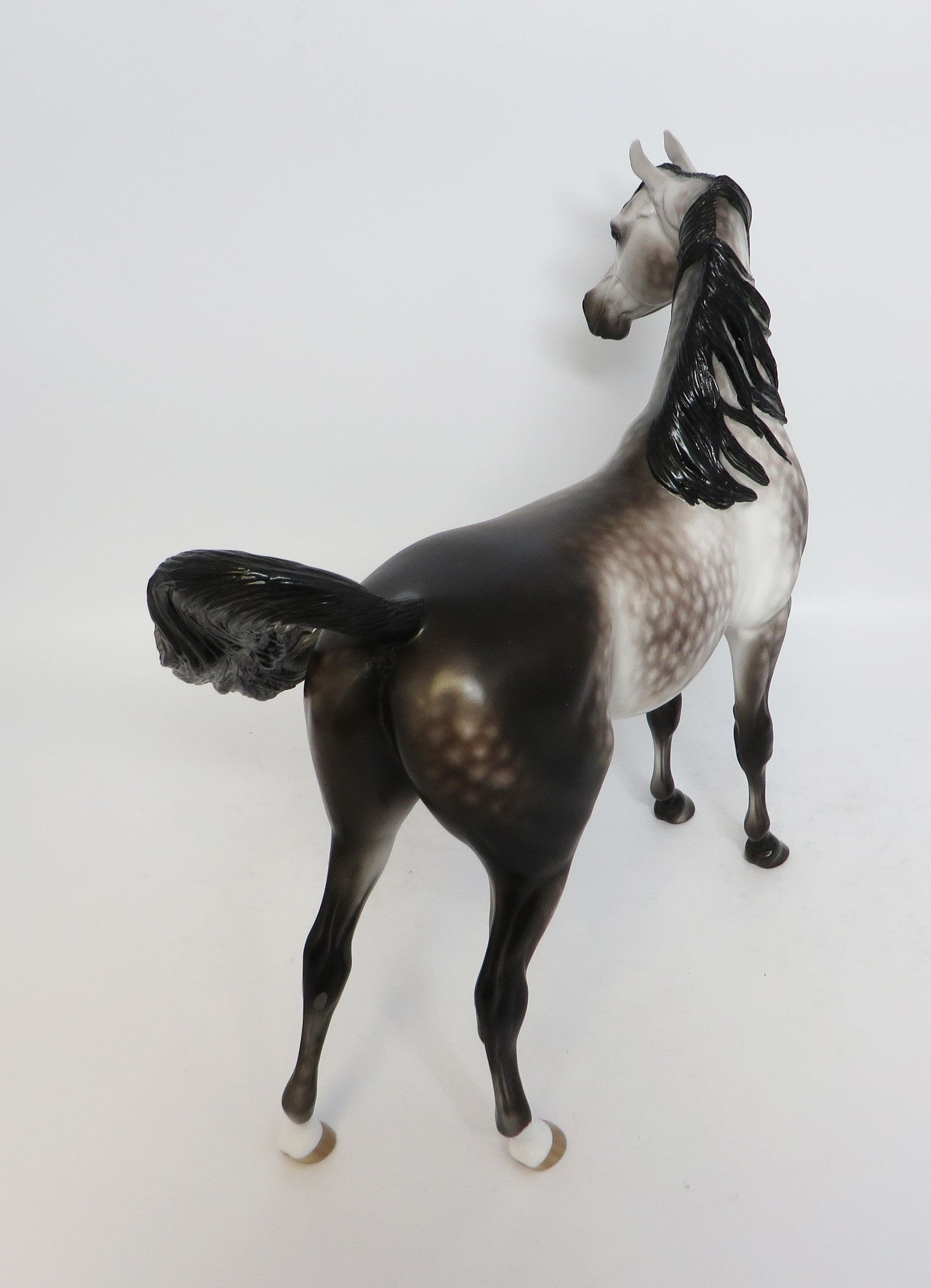 WORLD OF WONDER-OOAK STAR DAPPLE ROSE GREY ARABIAN MODEL HORSE BY SHERYL LEISURE 12-19-17