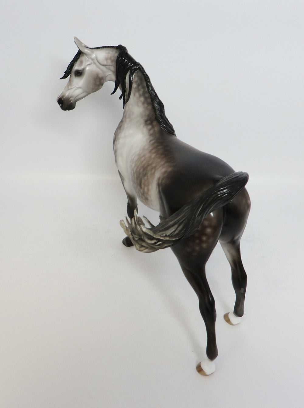 WORLD OF WONDER-OOAK STAR DAPPLE ROSE GREY ARABIAN MODEL HORSE BY SHERYL LEISURE 12-19-17