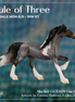 Mini Neil LE-5 FCM Chip Friesian by Ellen Robbins & Carissa Mathews Ro326