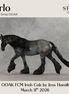 Arlo OOAK FCM Irish Cob by Jess Hamill & Stone Team DDOOAKs26