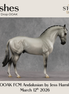 Ashes OOAK FCM Andalusian by Jess Hamill & Stone Team DDOOAKs26