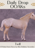 Twill OOAK FCM Ideal Stock Horse by Ellen Robbins DDOOAKs25