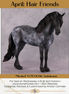 "Mirabel" OOAK FCM Andalusian By Kristen Cermele - April GemStones Series