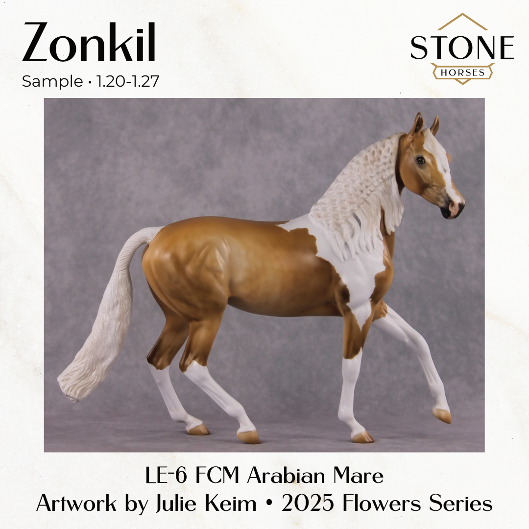 SAMPLE Zonkil LE-10 FCM Arabian Mare by Julie Keim SS0126