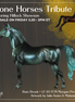 Rum Brook LE-20 FCM Morgan by Julie Keim & Melanie Miller TS26