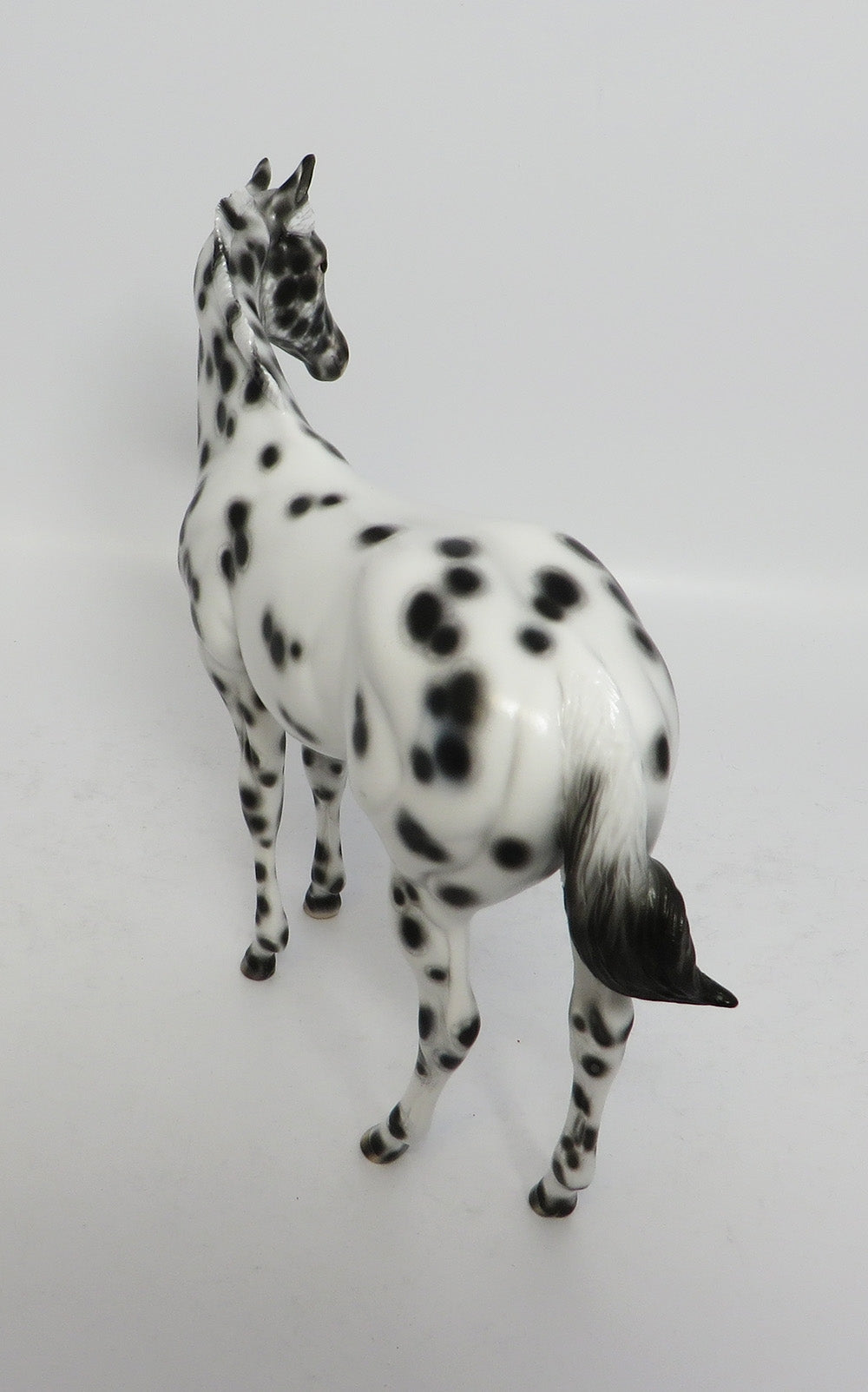 KENNER-OOAK BLACK LEOPARD WEANLING MODEL HORSE BY SHERYL LEISURE 12-19-17