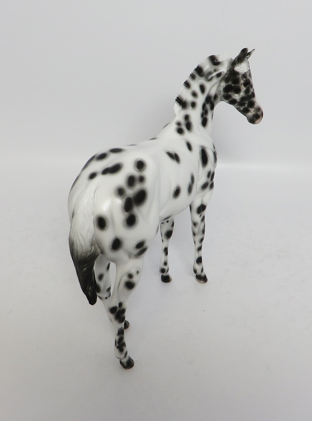 KENNER-OOAK BLACK LEOPARD WEANLING MODEL HORSE BY SHERYL LEISURE 12-19-17