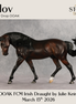 Clov OOAK FCM Irish Draught by Julie Keim & Stone Team DDOOAKs26