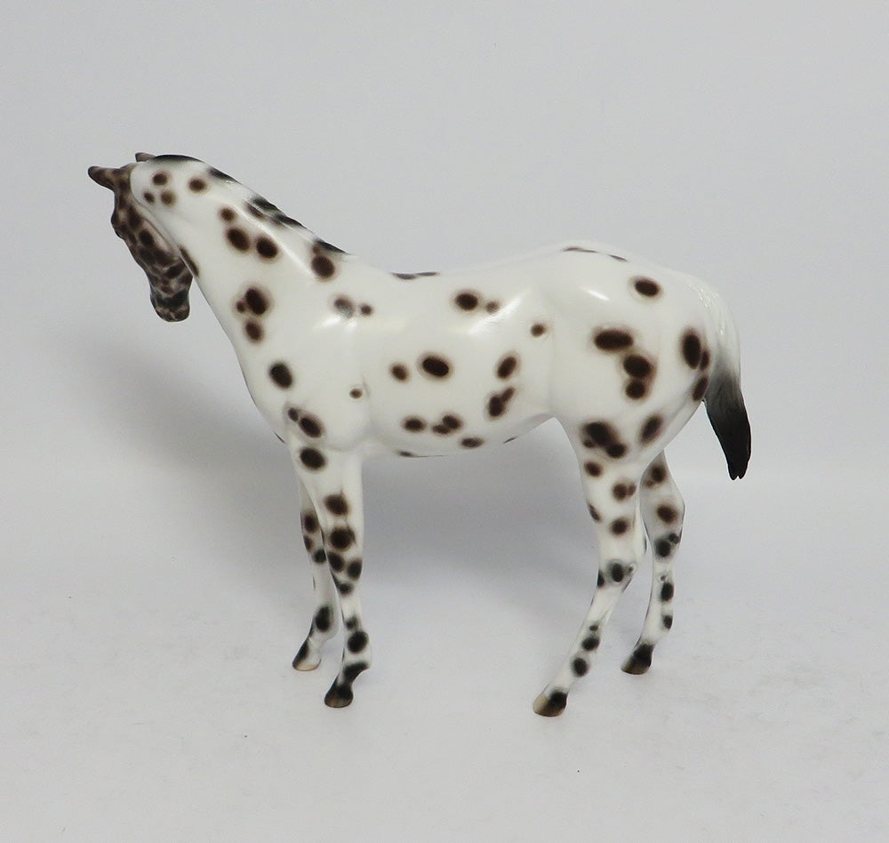 KAHOOTZ~OOAK BAY LEOPARD WEANLING MODEL HORSE BY SHERYL LEISURE 12/20/17