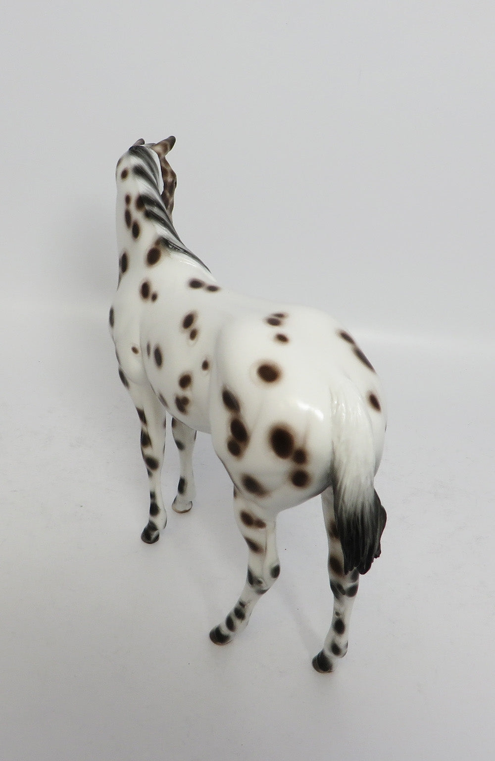 KAHOOTZ~OOAK BAY LEOPARD WEANLING MODEL HORSE BY SHERYL LEISURE 12/20/17