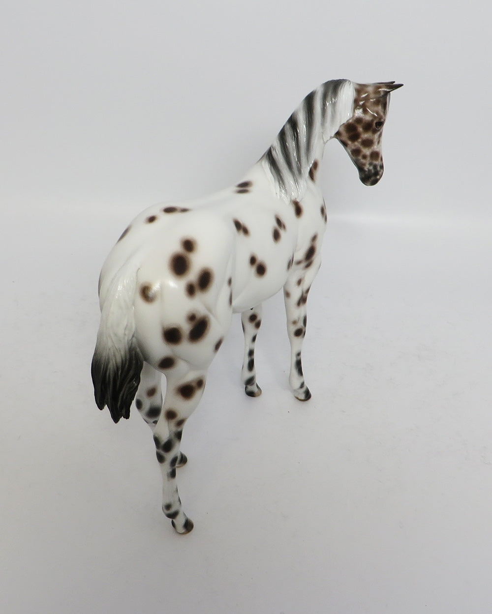 KAHOOTZ~OOAK BAY LEOPARD WEANLING MODEL HORSE BY SHERYL LEISURE 12/20/17