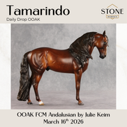 Tamarindo OOAK FCM Andalusian by Julie Keim & Stone Team DDOOAKs26