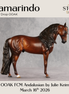Tamarindo OOAK FCM Andalusian by Julie Keim & Stone Team DDOOAKs26