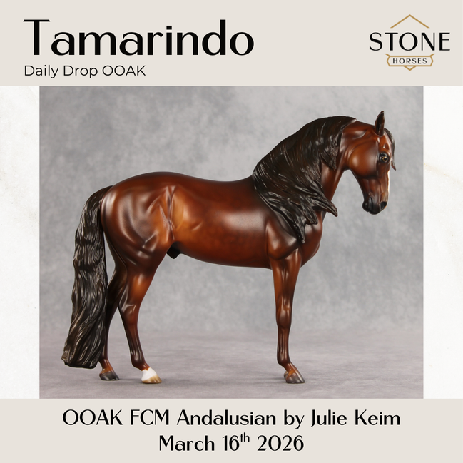 Tamarindo OOAK FCM Andalusian by Julie Keim & Stone Team DDOOAKs26