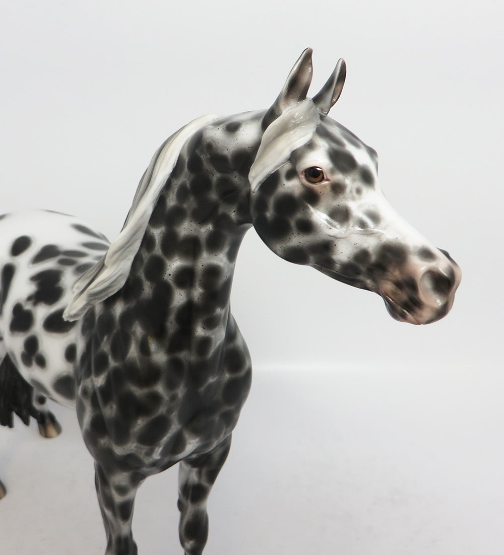 BIF BANG POW-OOAK BLACK LEOPARD APPALOOSA ARABIAN BY SHERYL LEISURE 12-19-17