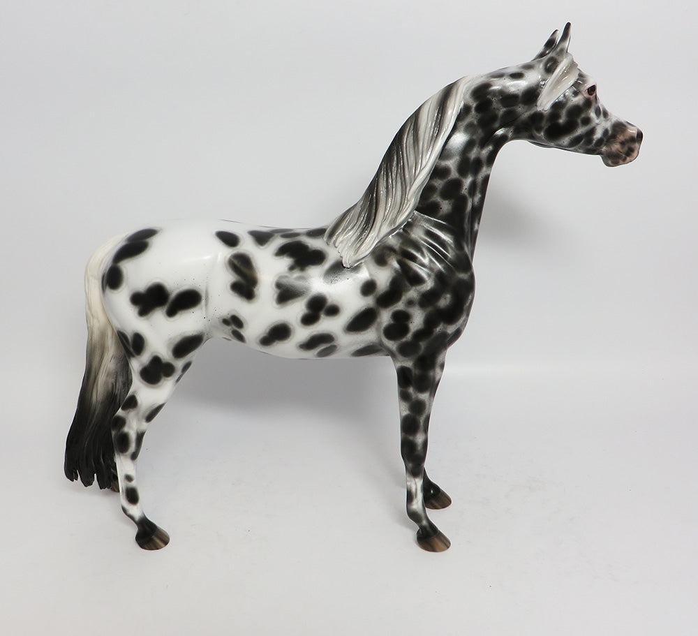 BIF BANG POW-OOAK BLACK LEOPARD APPALOOSA ARABIAN BY SHERYL LEISURE 12-19-17