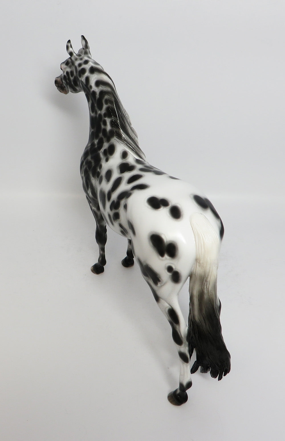 BIF BANG POW-OOAK BLACK LEOPARD APPALOOSA ARABIAN BY SHERYL LEISURE 12-19-17