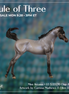 Mini Arcana LE-5 EFCM Chip Arabian by Ellen Robbins & Carissa Mathews Ro326