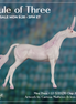 Mini Thea LE-5 EFCM Chip Arabian by Jess Hamill & Carissa Mathews Ro326