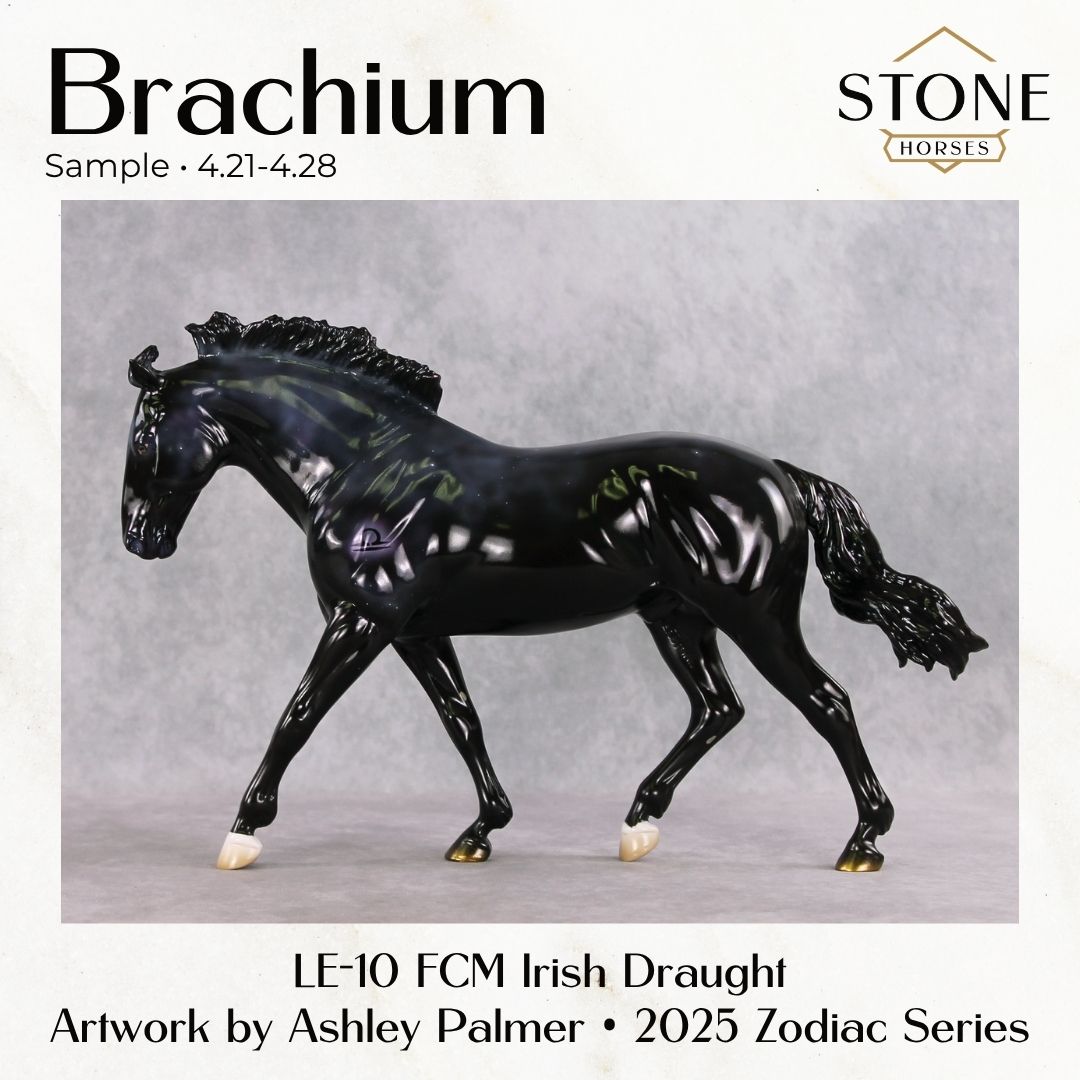 SAMPLE Brachium LE-10 FCM Irish Draught by Ashley Palmer SS0426