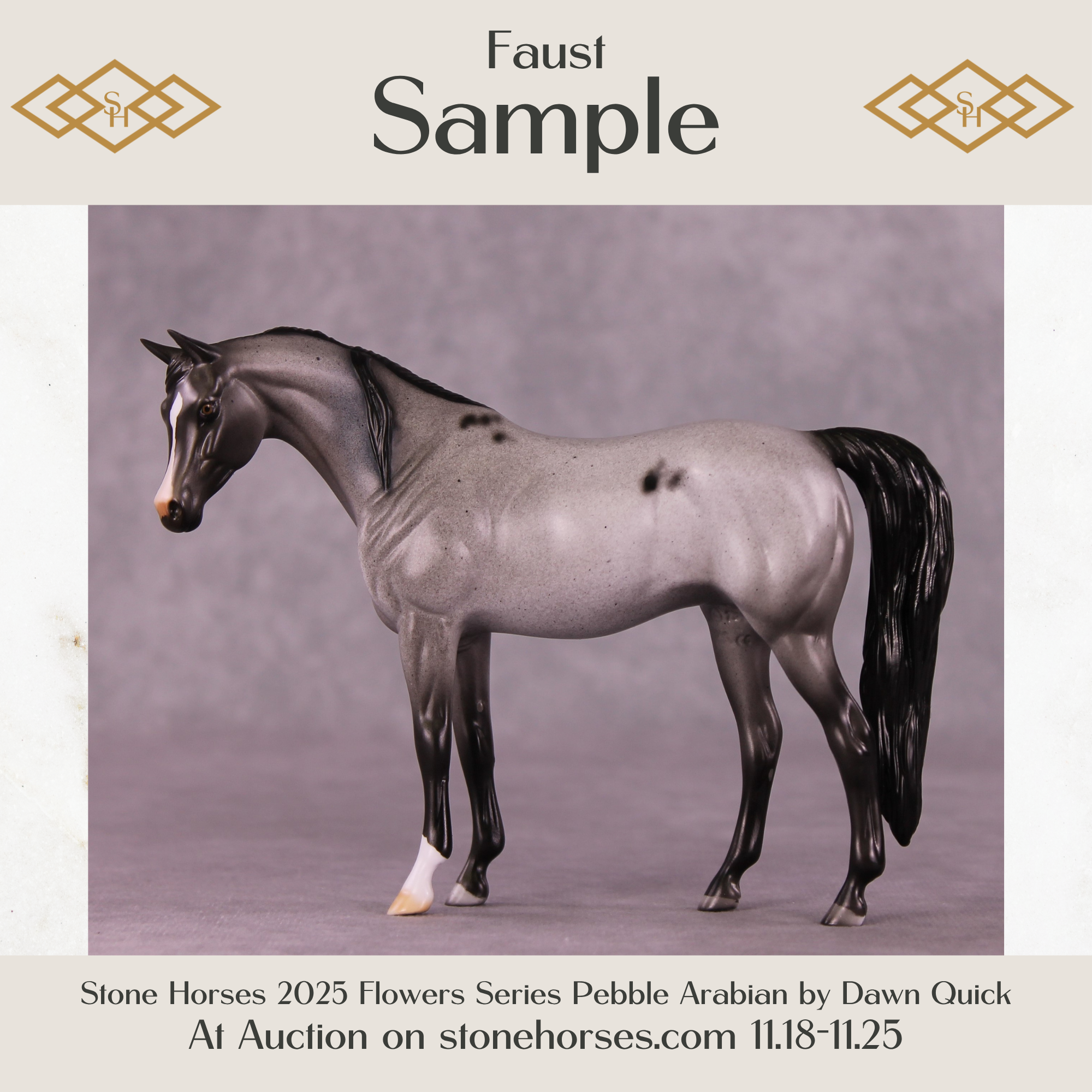 SAMPLE Faust Pebble Arabian by Dawn Quick 11/25/2025 SS1125