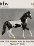 Kirby OOAK FCM Arabian Mare by Anna Rieck DDOOAKs26