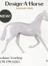 Design-A-Horse NEW FCM Arabian Yearling January Release DAH26 PM0263