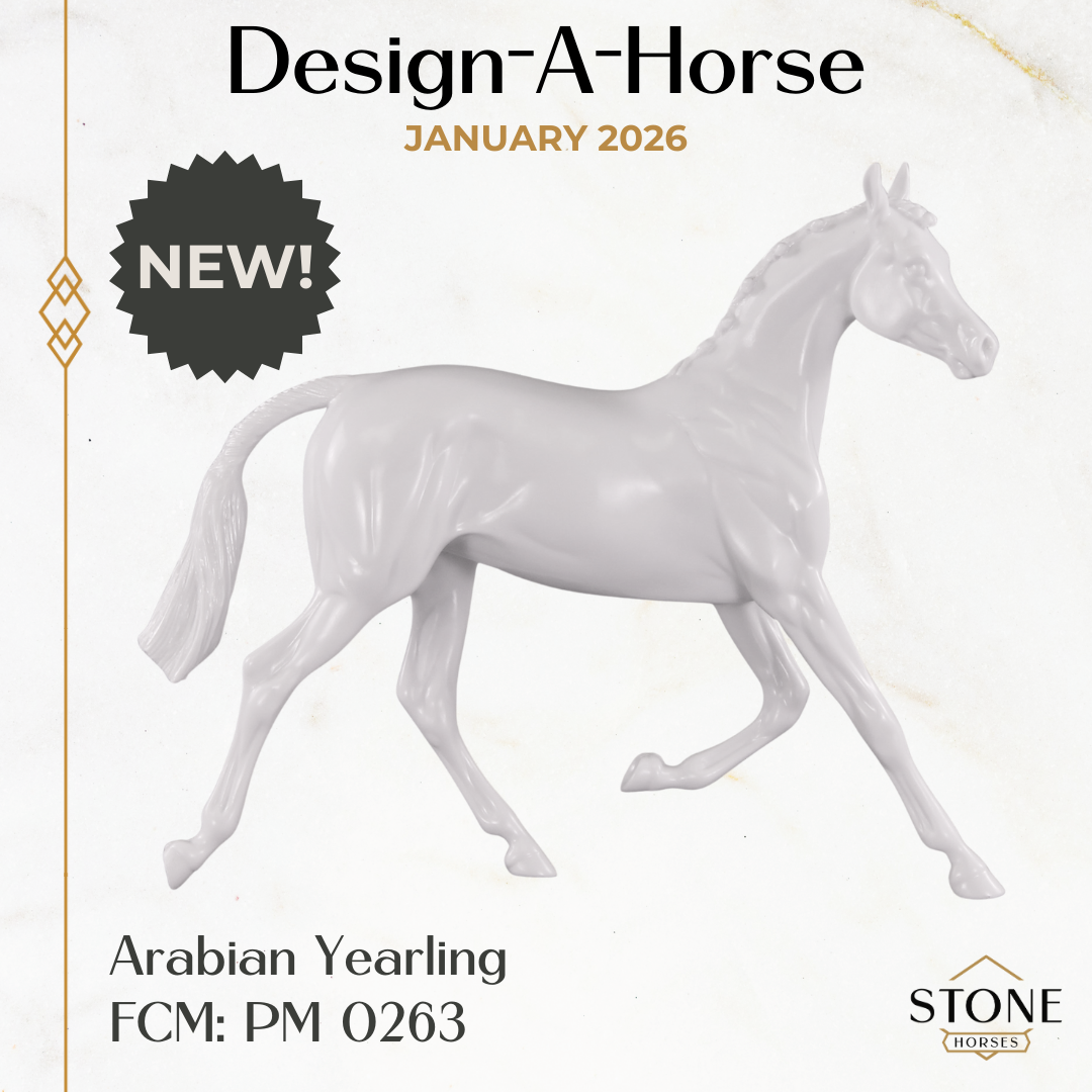 Design-A-Horse NEW FCM Arabian Yearling January Release DAH26 PM0263