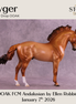 Tyger OOAK FCM Andalusian by Ellen Robbins DDOOAKs26
