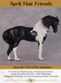 "Quaestio" OOAK FCM Andalusian By Kristen Cermele - April GemStones Series