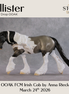 Allister OOAK FCM Irish Cob by Anna Rieck DDOOAKs26