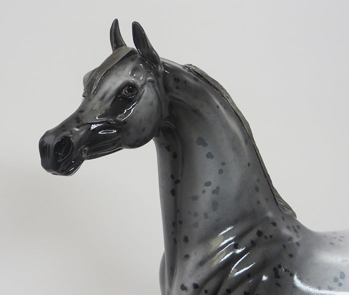 HOPPER THE CHOPPER - OOAK Dark Grey Roan Arabian GLOSSY 8/14