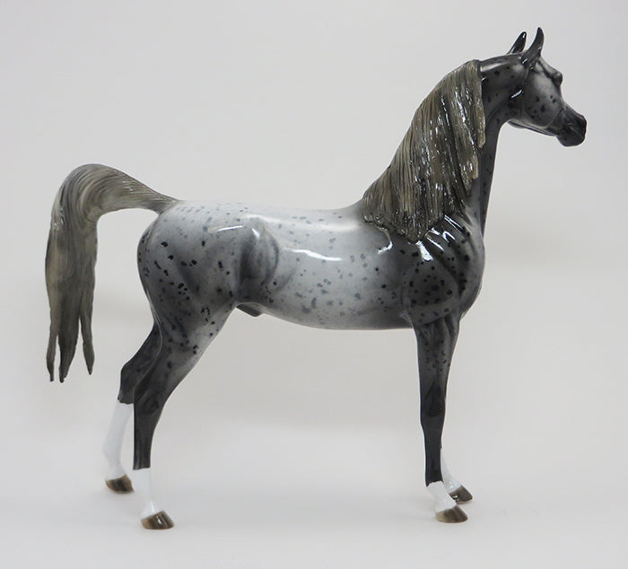 HOPPER THE CHOPPER - OOAK Dark Grey Roan Arabian GLOSSY 8/14