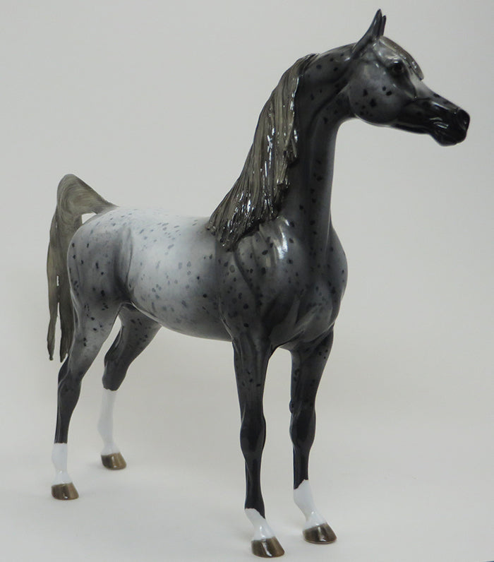 HOPPER THE CHOPPER - OOAK Dark Grey Roan Arabian GLOSSY 8/14