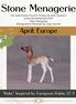 "Ruby" LE-3 Foal Chip by Jess Hamill - Menagerie Series