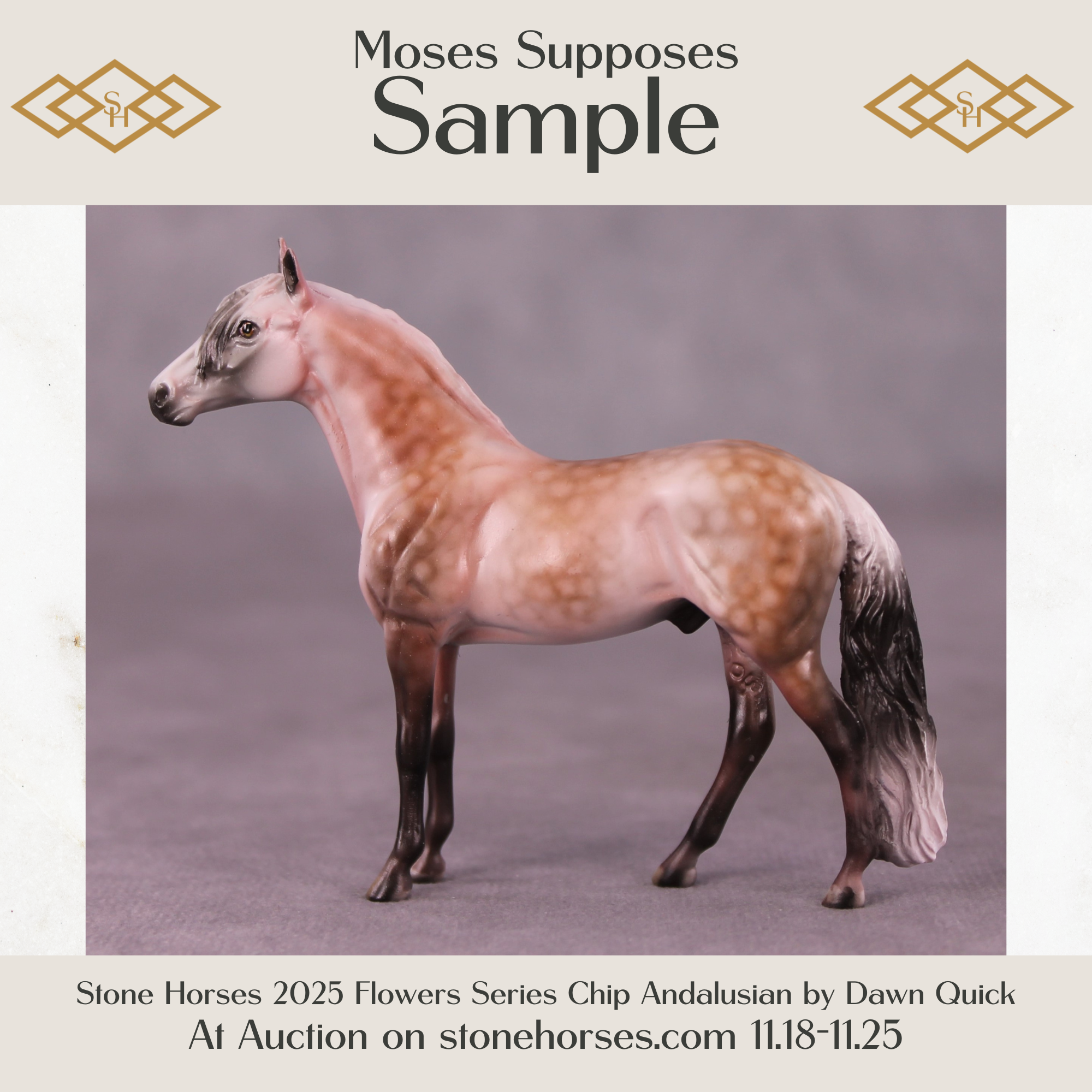 SAMPLE Moses Supposes Chip Andalusian by Dawn Quick 11/25/2025 SS1125