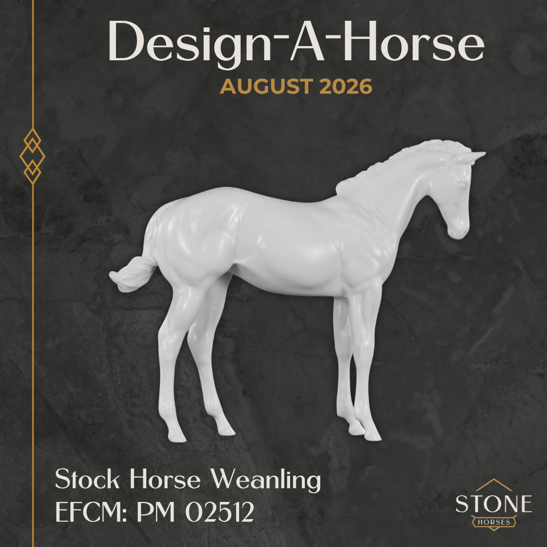 Design-A-Horse EFCM Stock Horse Weanling August Release DAH26 PM02512