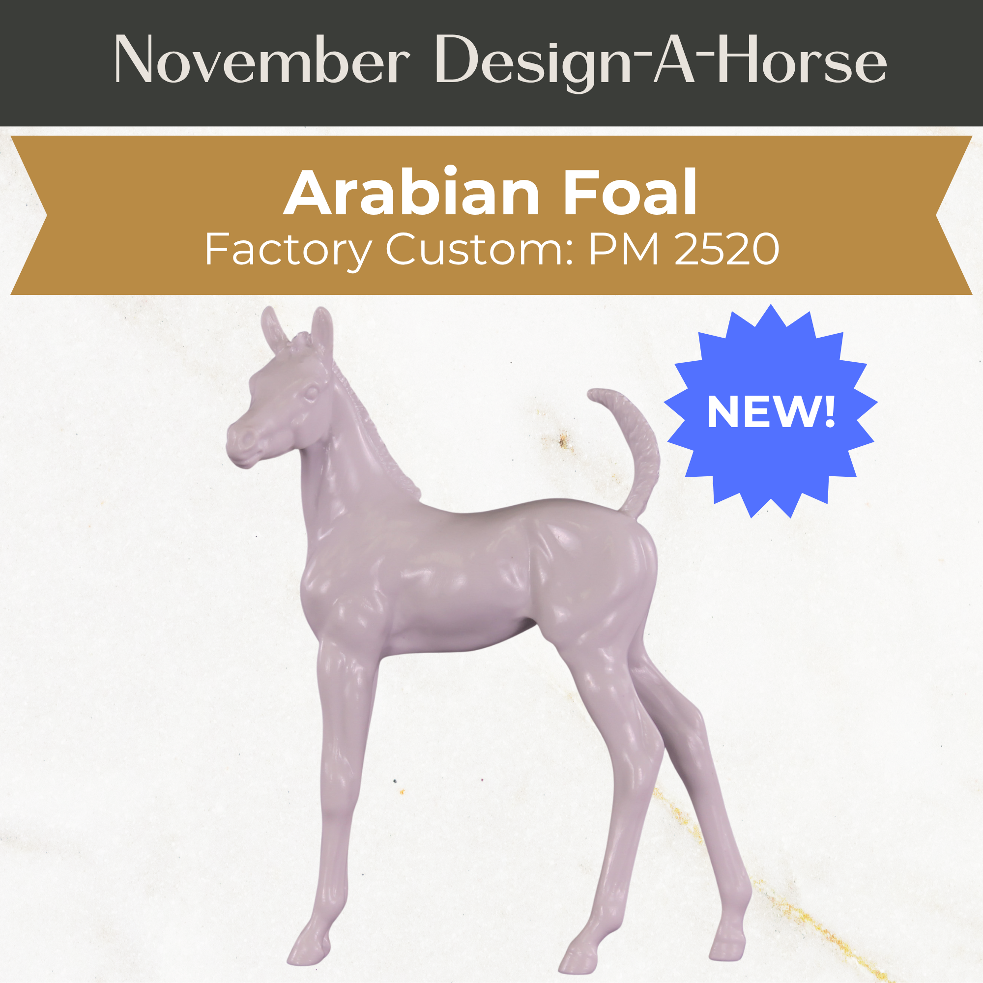 Design-A-Horse NEW FCM Arabian Foal November Release DAH25 PM02520