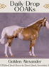 Golden Alexander OOAK FCM Ideal Stock Horse by Dawn Quick DDOOAKs25