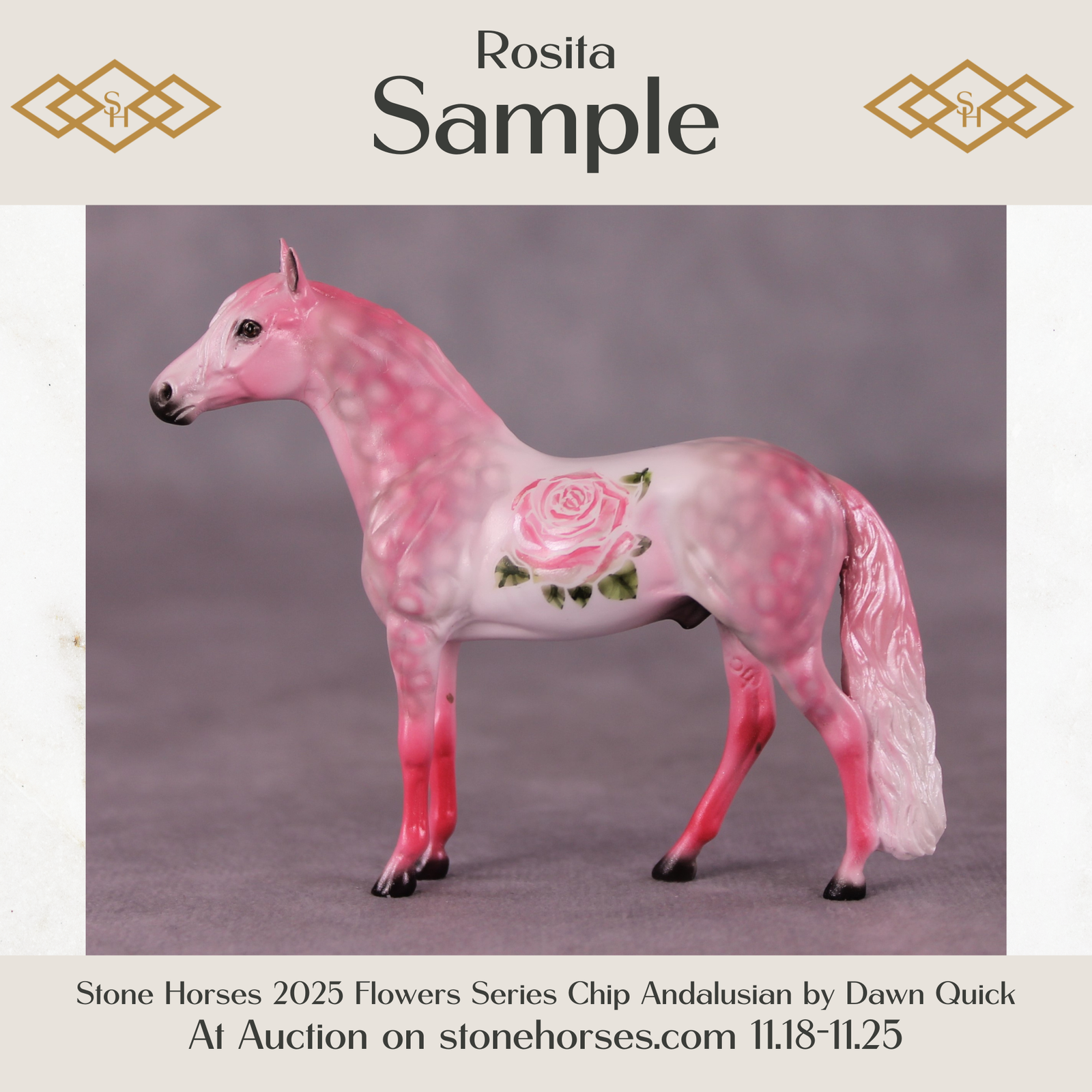 SAMPLE Rosita Chip Andalusian by Dawn Quick 11/25/2025 SS1125