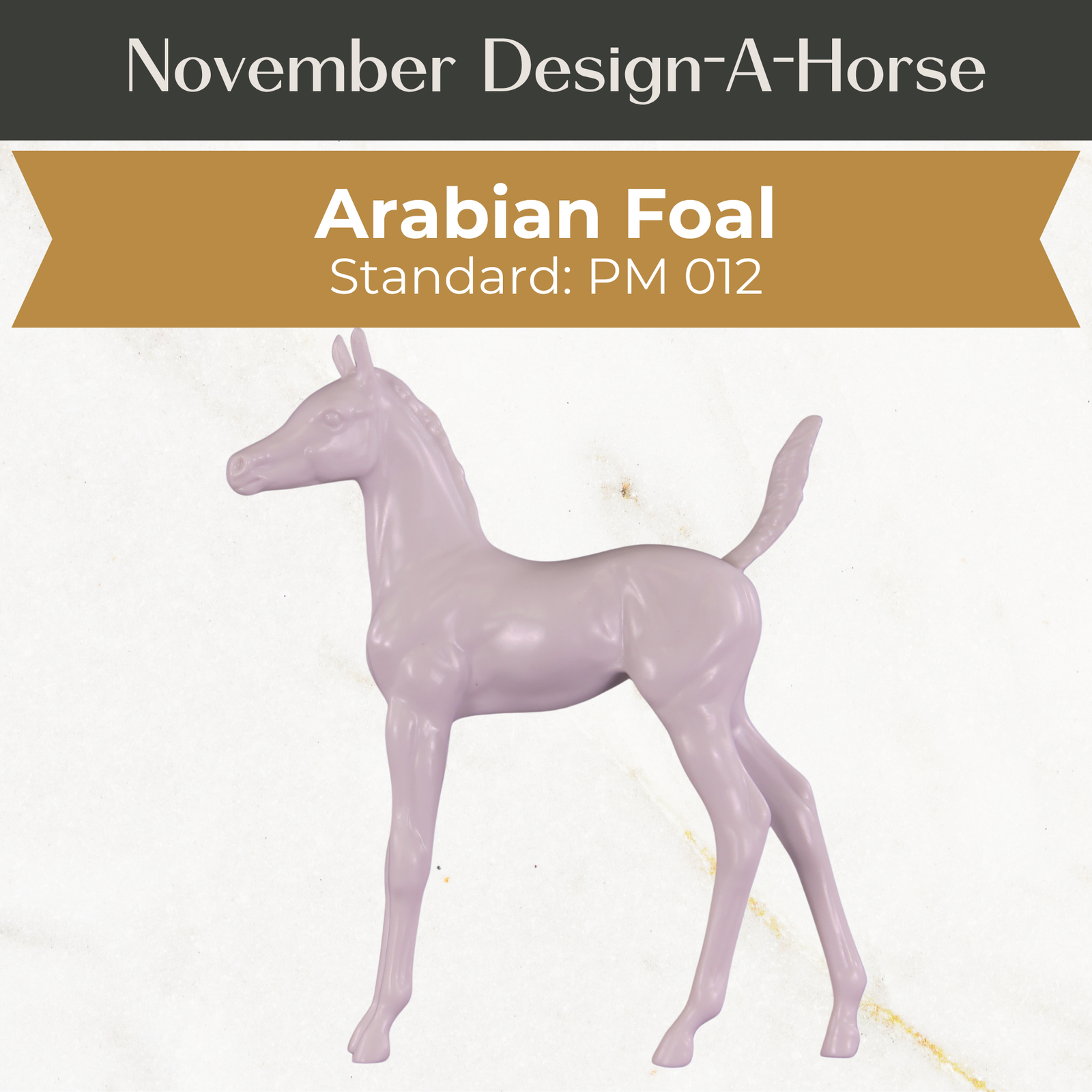 Design-A-Horse Stone Arabian Foal PM012 - November Release 2025