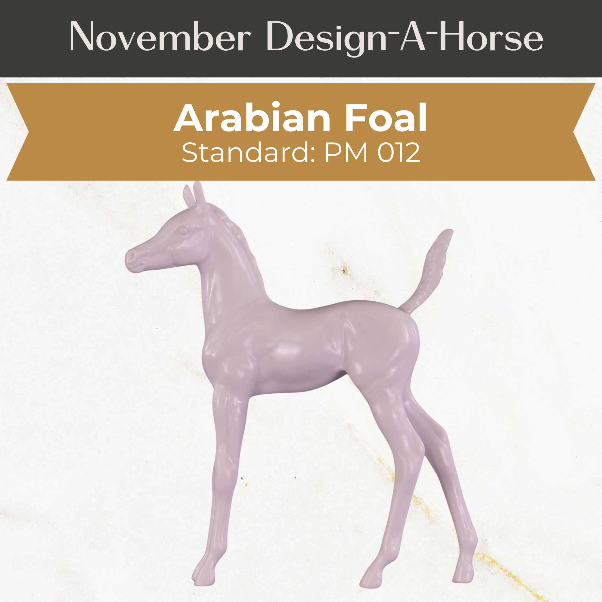 Design-A-Horse Stone Arabian Foal PM012 - November Release 2025