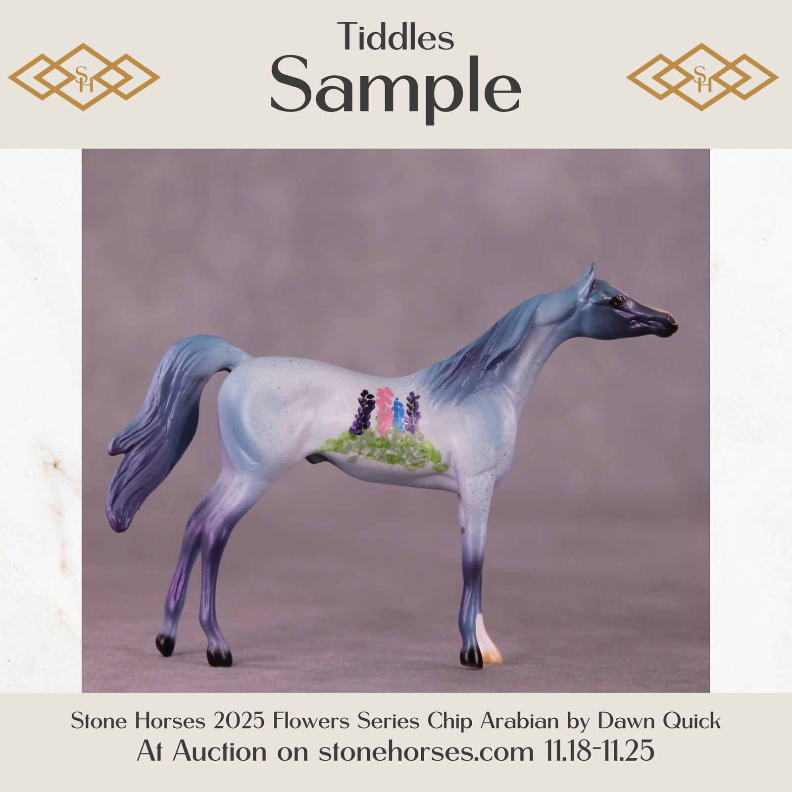 SAMPLE Tiddles Chip Arabian by Dawn Quick 11/25/2025 SS1125